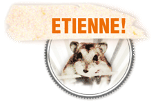 Etienne! - The Hamster Movie button/badge #2